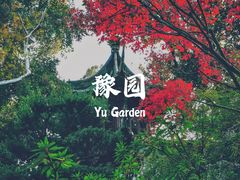 -豫园