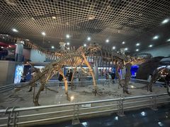 -国家自然博物馆