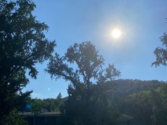 -千年银杏谷文化旅游区