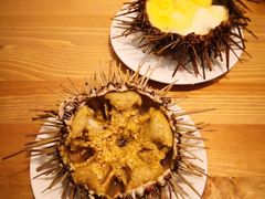 -海胆小馆(东北水饺·春柳店)