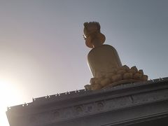 -兴隆文化园景区