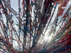 -魔指印象(西藏旗舰店)