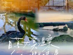 -大湾区中央湿地公园