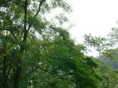-沂蒙山旅游区云蒙景区(蒙山国家森林公园)