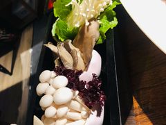 -九鼎轩脆毛肚火锅(三钢里店)