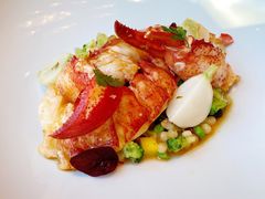 波士顿龙虾-福楼法餐厅FLO