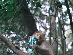 -黔灵山公园