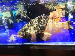 -盒马鲜生(新都心店)