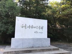 -白水寺森林公园
