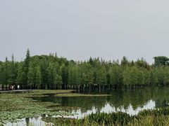 -白鹭湾湿地公园