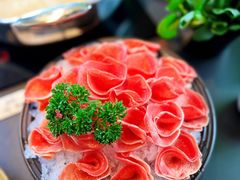 -新草堂锅物料理(泉城路店)