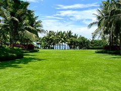 -瑰丽酒店·海吧·天际下午茶·现场DJ·天台酒吧