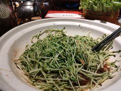 豌豆苗-庭苑饭香·生态餐厅(动物园店)