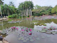 -中国科学院西双版纳热带植物园