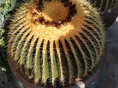 -重庆市江北嘴中央商务区中央公园