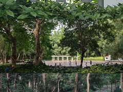 -赭山公园