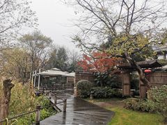 -新荣记(西溪湿地店)