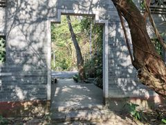 -水濂山森林公园