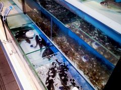 -盒马鲜生(杭州运河上街店)