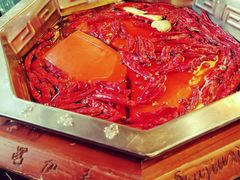 -蜀九香火锅(九眼桥店)