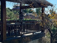 -青龙湖公园
