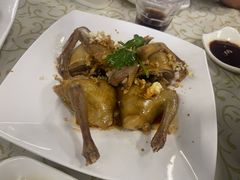 -百利鸽王(紫薇路店)