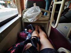 -The Sinh Tourist