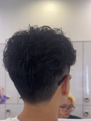 -YESIDO椰岛造型