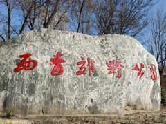 -西青郊野公园