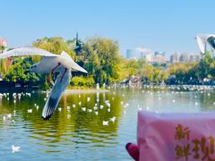 -嘉华鲜花饼·现烤(昆明老街店)