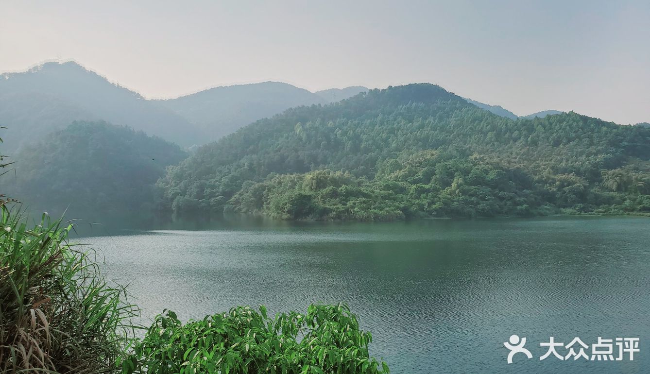 杨家沟水库