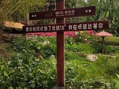 -呀诺达热带雨林
