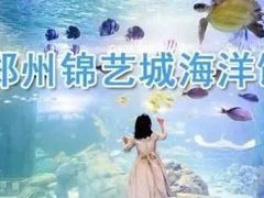 -锦艺城海洋馆