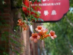 -1912街区