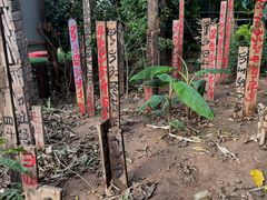 -呀路古热带植物园