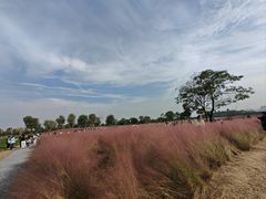 -汉长安城未央宫国家考古遗址公园