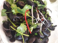 捞起天山木耳-东江渔村·古典园林·30年粤菜老字号(太和店)