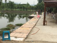 -同銮特种养殖场·龙虾垂钓