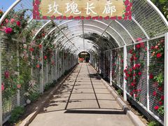 -太阳宫公园
