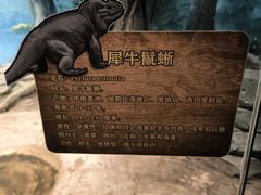 -无锡动物园·太湖欢乐园