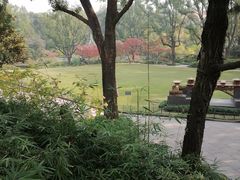 -申粤轩酒楼·三十年粤菜经典(丁香花园店)