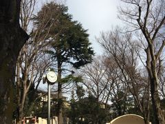 -井之头恩赐公园