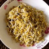 自己发个绿豆芽