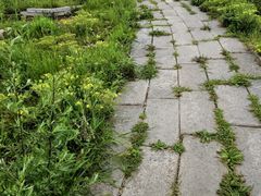 -妙峰山风景名胜区