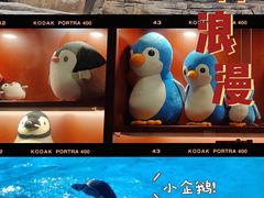 -海合安武汉极地海洋公园