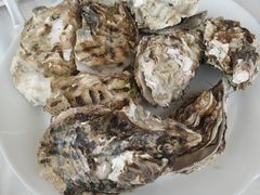 -渔民船说·北塘海鲜·天津菜·海肠捞饭(北塘古镇店)