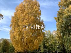 -可可托海景区