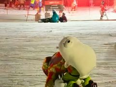 -鳌山滑雪度假区
