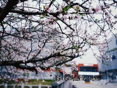 -木渎影视城