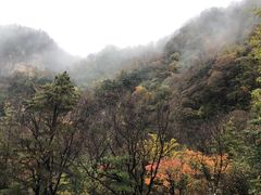 -陕西省红河谷森林公园